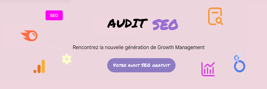 conseil SEO2 1